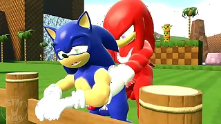 Sonic with the addition of knuckles lady-love
