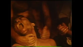 VCA Unconcerned - LA Equipment